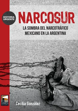 Cecilia González Narcosur обложка книги