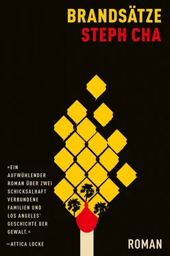 Steph Cha Brandsätze (eBook) обложка книги