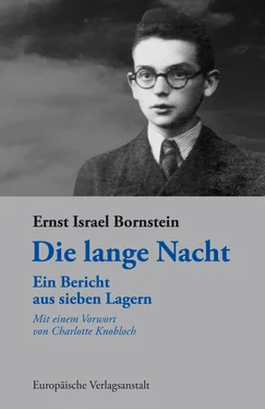 Ernst Israel Bornstein Die lange Nacht обложка книги