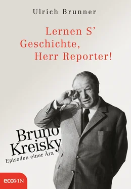 Ulrich Brunner Lernen S' Geschichte, Herr Reporter! обложка книги