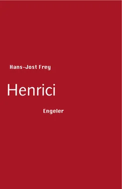 Hans-Jost Frey Henrici обложка книги