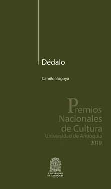 Camilo Bogoya Dédalo обложка книги