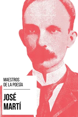 José Martí Maestros de la Poesía - José Martí обложка книги