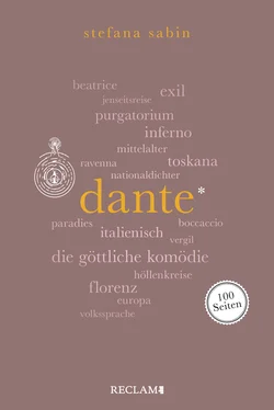 Stefana Sabin Dante. 100 Seiten обложка книги