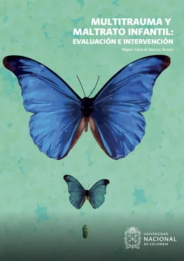 Miguel Eduardo Barrios Acosta Multitrauma y maltrato infantil: evaluación e intervención обложка книги