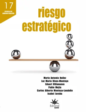 Maria Antonia Nuñez Riesgo estratégico обложка книги