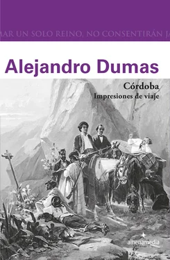 Alejandro Dumas Córdoba. Impresiones de viaje обложка книги