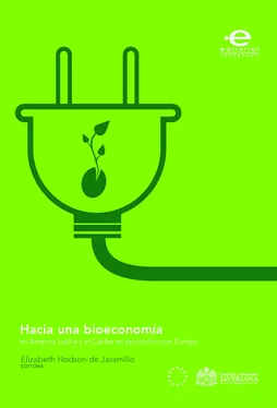 Ulrich Schürr Hacia una bioeconomía en América Latina y el Caribe en asociación con Europa обложка книги