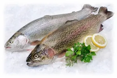 Productos de la pesca frescos Getty Images Incluso bajo las mejores - фото 16
