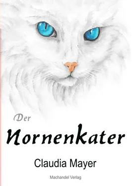 Claudia Mayer Der Nornenkater обложка книги