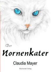 Claudia Mayer - Der Nornenkater