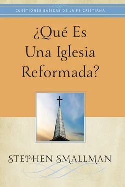 Stephen Smallman ¿Qué es una Iglesia reformada? обложка книги