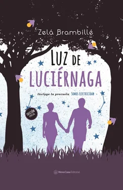 Zelá Brambillé Luz de luciérnaga (2a edición) + Somos electricidad обложка книги