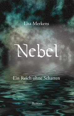 Lisa Merkens Nebel - Ein Reich ohne Schatten обложка книги