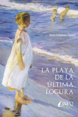 Juan Esteban Gascó La playa de la última locura обложка книги