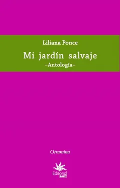 Liliana Ponce Mi jardín salvaje обложка книги