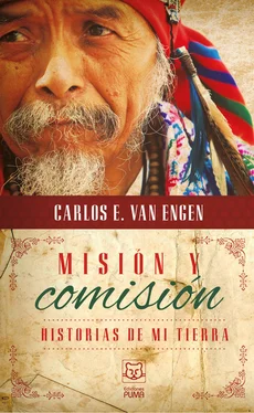 Carlos Van Engen Misión y comisión обложка книги