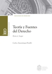 Carlos Amunátegui Perelló - Teoría y Fuentes del Derecho