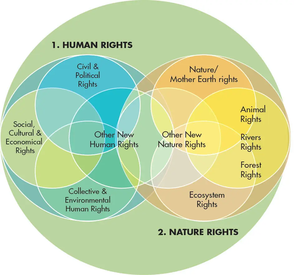 FIGURE 1 Environmental Rights Theory Rights from Nature Mother Earth - фото 7