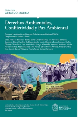 Gregorio Mesa Cuadros Derechos Ambientales, conflictividad y paz ambiental обложка книги