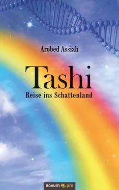 Arobed Assiah Tashi – Reise ins Schattenland обложка книги