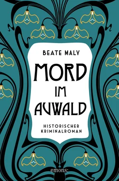 Beate Maly Mord im Auwald обложка книги