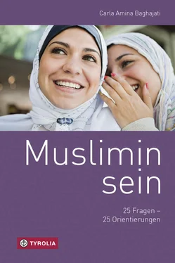 Carla Amina Baghajati Muslimin sein обложка книги
