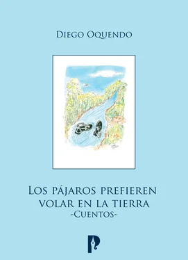 Diego Oquendo Los pájaros prefieren volar en la tierra обложка книги