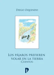 Diego Oquendo - Los pájaros prefieren volar en la tierra