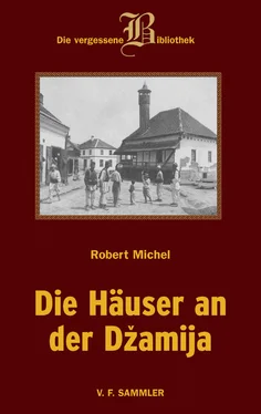Robert Michel Die Häuser an der Dzamija обложка книги