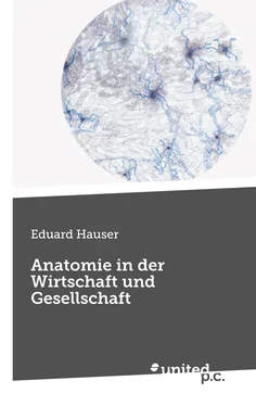 Eduard Hauser Anatomie in der Wirtschaft und Gesellschaft обложка книги