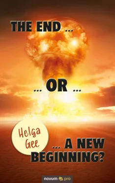 Helga Gee The End … or … a New Beginning? обложка книги