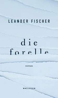 Leander Fischer Die Forelle обложка книги