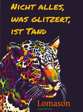 Lomason Nicht alles, was glitzert, ist Tand обложка книги