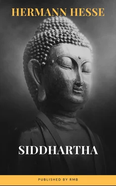 Array RMB Siddhartha обложка книги