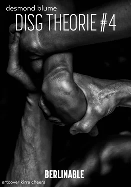 Desmond Blume DISG Theorie #4 - Folge 1 обложка книги