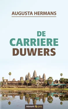 Augusta Hermans De carriere duwers обложка книги