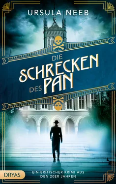 Ursula Neeb Die Schrecken des Pan обложка книги