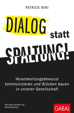 Patrick Nini Dialog statt Spaltung! обложка книги