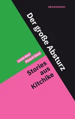 Louis-Karl Picard-Sioui - Der große Absturz