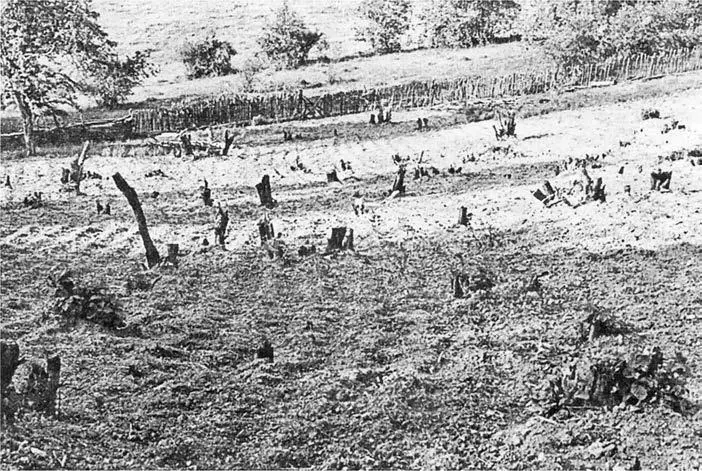 Орна ділянка очищена від лісу с Збой Словаччина 1977 р Світлина М - фото 3