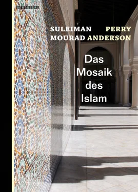 Perry Anderson Das Mosaik des Islam обложка книги