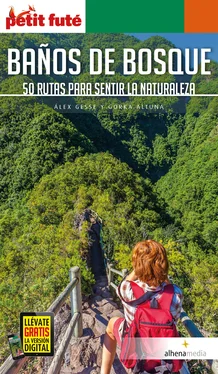 Alex Gesse Baños de bosque. 50 rutas para sentir la naturaleza обложка книги