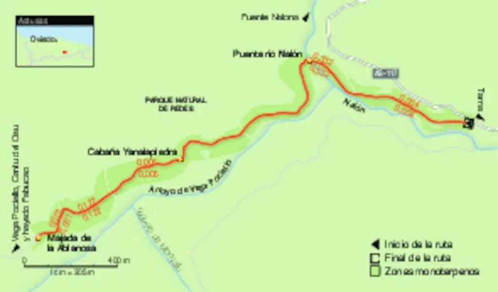 Descripción del itinerario Formas inverosímiles en el bosque de Redes - фото 59