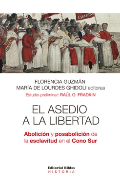 Florencia Guzmán El asedio a la libertad обложка книги