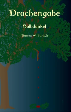 Torsten W. Burisch Drachengabe - Halbdunkel обложка книги