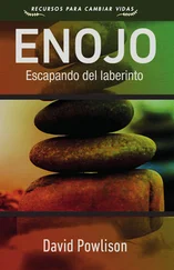 David Powlison - Enojo