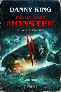 Danny King DAS HAUS DER MONSTER - DIE MONSTER SIND ZURÜCK обложка книги