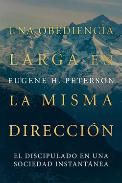 Eugene Peterson Una obediencia larga en la misma dirección обложка книги