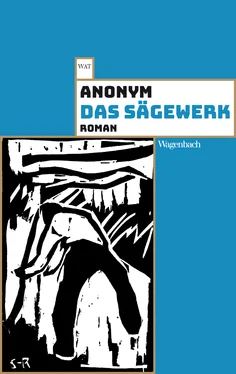 Anonym Das Sägewerk обложка книги